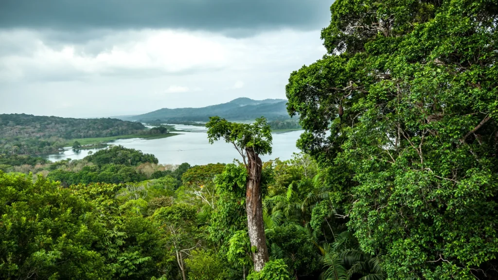 Rainy season in Panama