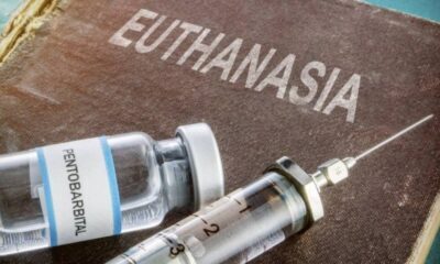 Euthanasia. The media promotes a superficial and one-sided view