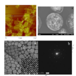 Graphene Oxide in Intensive Agriculture