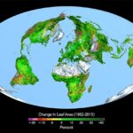 CO2, the raw material of life